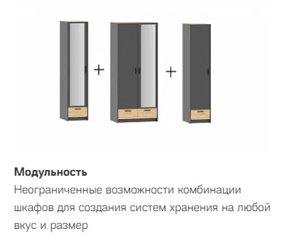 Шкаф для одежды Оттавия НМ 011.20 антрацит, дуб крафт золотой (универсальная сборка)